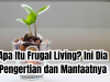 Frugal Living