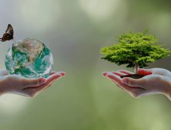 Artikel mengenai beberapa tujuan perlindungan lingkungan yang harus kita semua ketahui karena penting untuk kehidupan seluruh ekosistem.