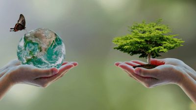 Artikel mengenai beberapa tujuan perlindungan lingkungan yang harus kita semua ketahui karena penting untuk kehidupan seluruh ekosistem.