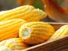 Artikel ini membahas mengenai beberapa manfaat jagung untuk kesehatan sebagai karbohidrat pengganti nasi yang penting untuk dipahami.