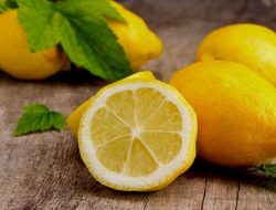 Pembahasan mengenai 10 manfaat lemon untuk kecantikan yang ternyata luar biasa dan pastinya dapat Anda coba di rumah.