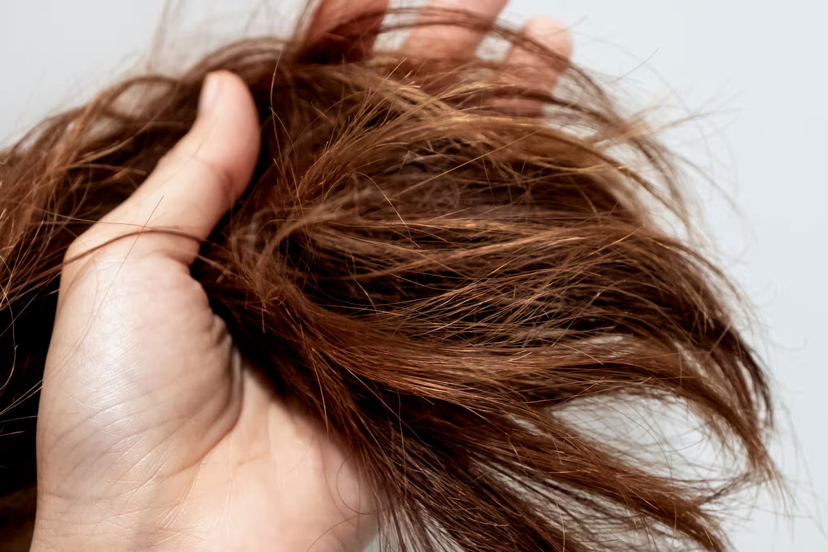 Beberapa hal penyebab rambut bercabang yang harus Anda pahami lengkap beserta cara untuk mencegah rambut bercabang.