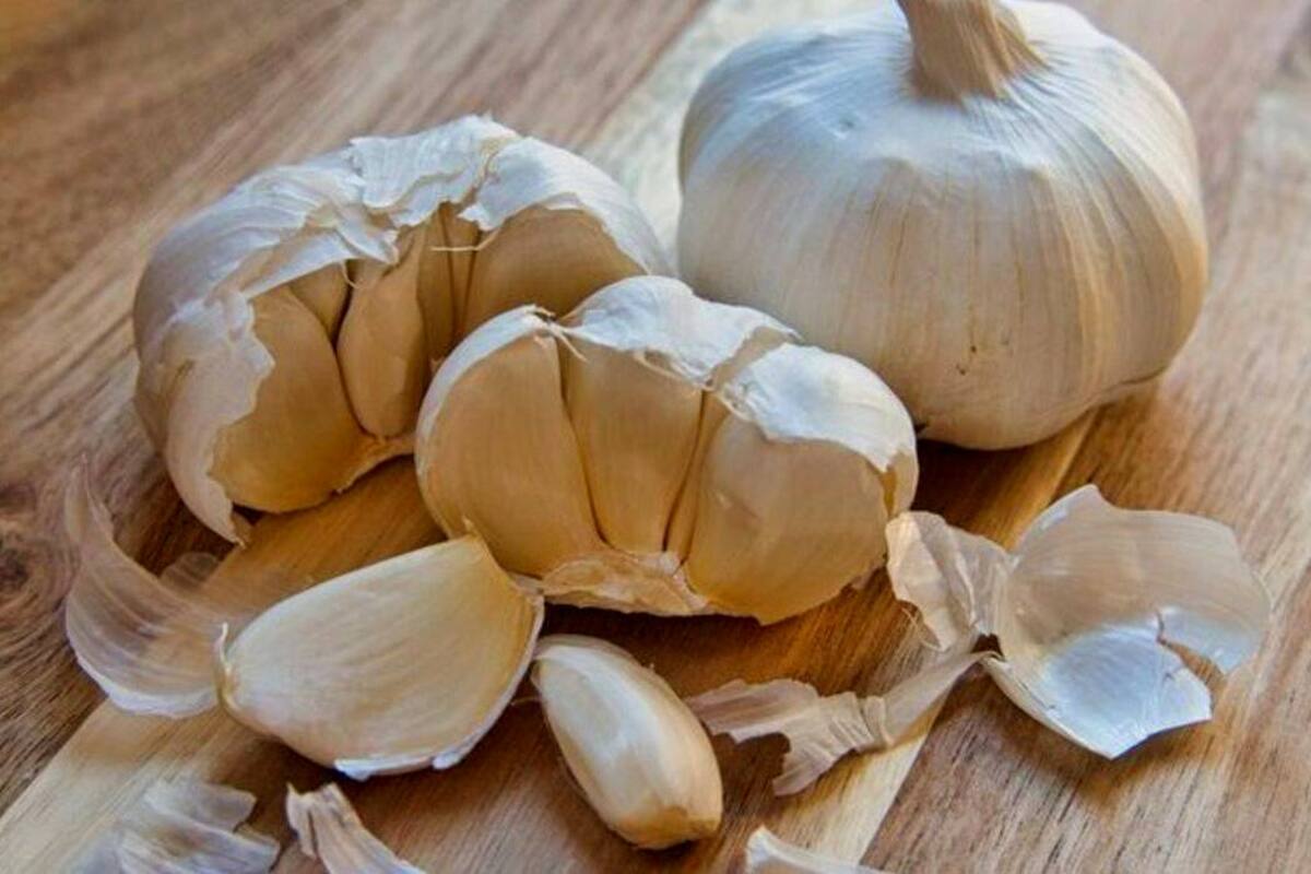 Cara mempercepat penyembuhan luka menggunakan bawang putih.