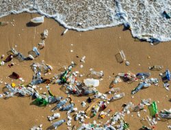 Artikel ini membahas mengenai beberapa dampak negatif sampah yang sangat berpengaruh untuk lingkungan hidup dan penghuninya.