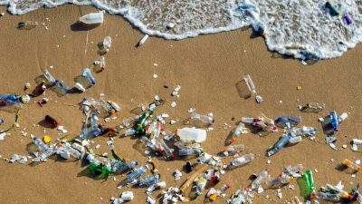 Artikel ini membahas mengenai beberapa dampak negatif sampah yang sangat berpengaruh untuk lingkungan hidup dan penghuninya.