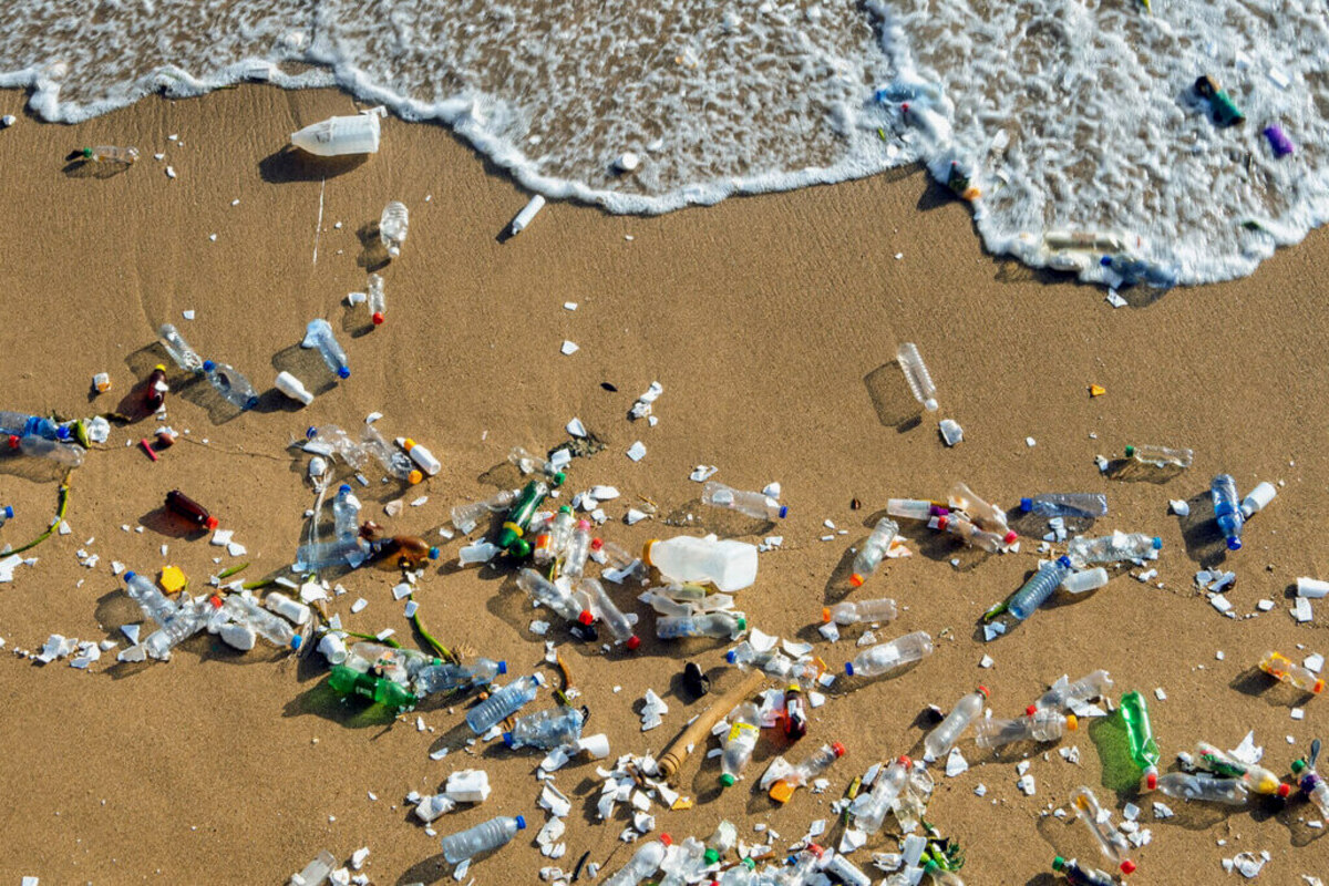 Artikel ini membahas mengenai beberapa dampak negatif sampah yang sangat berpengaruh untuk lingkungan hidup dan penghuninya.