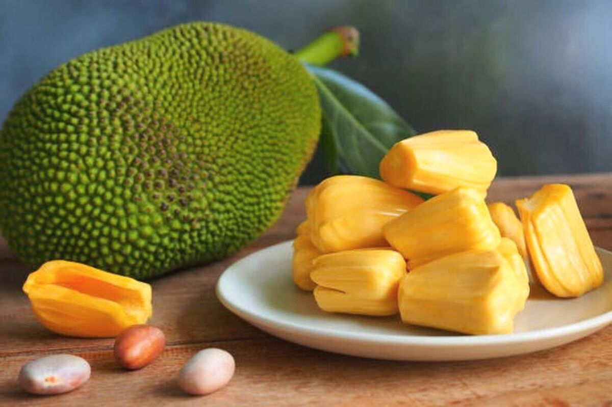 Artikel ini membahas mengenai beberapa manfaat nangka yang ternyata sangat luar biasa dan baik untuk kesehatan.