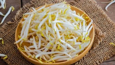 Artikel ini membahas mengenai beberapa manfaat tauge untuk kesehatan lengkap beserta dengan informasi nilai gizinya.