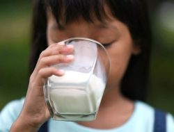 Artikel ini membahas mengenai resiko minum susu setiap hari yang akan terjadi pada tubuh Anda lengkap dengan manfaat susu untuk tubuh.