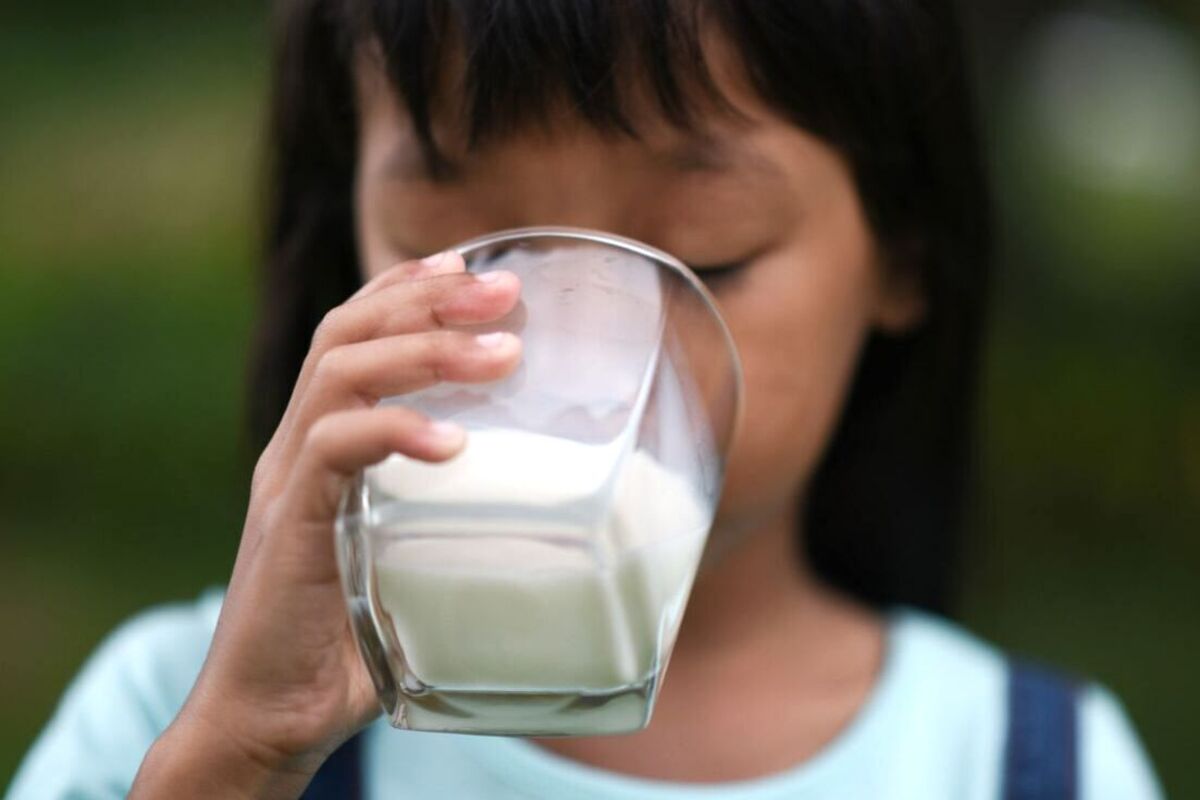 Artikel ini membahas mengenai resiko minum susu setiap hari yang akan terjadi pada tubuh Anda lengkap dengan manfaat susu untuk tubuh.