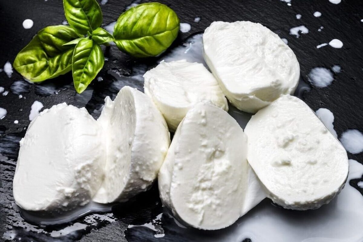 Jenis-jenis Keju Mozzarella - Mozzarella Segar (Fior di Latte)