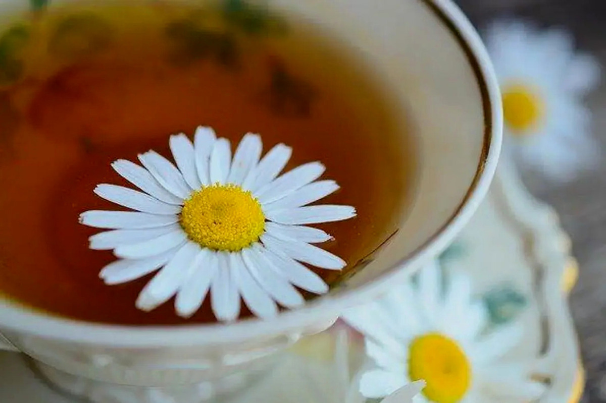 Manfaat Teh Chamomile - Dapat Bermanfaat bagi Kesehatan Jantung