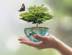 Beberapa aksi untuk planet yang sehat dan bisa mengurangi dampak buruk terhadap lingkungan yang bisa kita pelajari dan harus diterapkan.