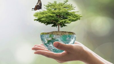 Beberapa aksi untuk planet yang sehat dan bisa mengurangi dampak buruk terhadap lingkungan yang bisa kita pelajari dan harus diterapkan.