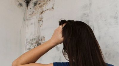 Artikel kali ini memberikan penjelasan tentang bagaimana cara mencegah jamur agar tidak tumbuh di dinding hunian Anda.