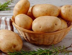 Artikel kali ini membahas mengenai beberapa tips menyimpan kentang agar tahan lebih lama dan tidak mudah busuk.