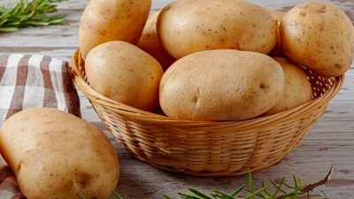 Artikel kali ini membahas mengenai beberapa tips menyimpan kentang agar tahan lebih lama dan tidak mudah busuk.