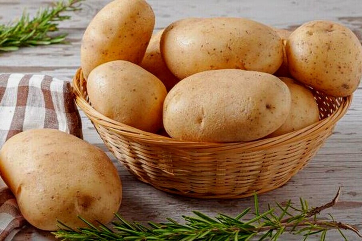 Artikel kali ini membahas mengenai beberapa tips menyimpan kentang agar tahan lebih lama dan tidak mudah busuk.