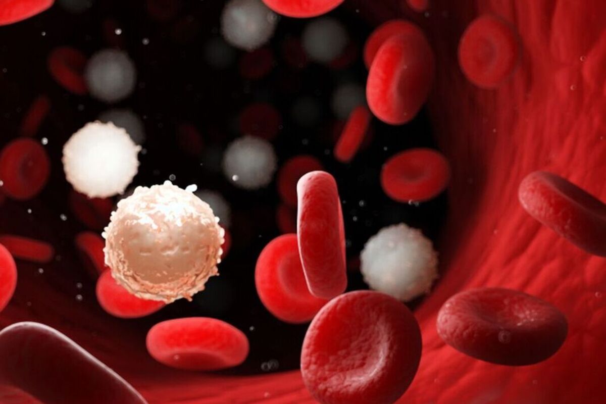 Artikel kali ini sangat penting untuk diperhatikan karena membahas tentang jenis-jenis kanker dan juga penyebabnya.