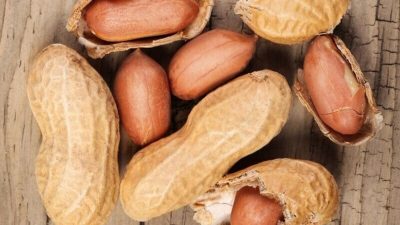 Artikel kali ini membahas mengenai beberapa manfaat kacang tanah yang baik untuk kesehatan tubuh manusia yang perlu kita pahami.