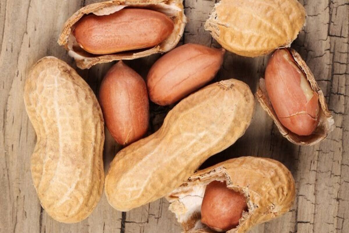Artikel kali ini membahas mengenai beberapa manfaat kacang tanah yang baik untuk kesehatan tubuh manusia yang perlu kita pahami.