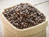 Artikel kali ini akan mengajak Anda untuk memahami perbedaan biji kopi yang harus diketahui terutama oleh pecinta kopi.