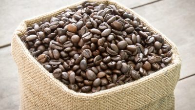 Artikel kali ini akan mengajak Anda untuk memahami perbedaan biji kopi yang harus diketahui terutama oleh pecinta kopi.