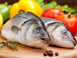 Artikel kali ini membahas mengenai beberapa tips dan cara memilih ikan segar saat berbelanja baik di supermarket maupun pasar tradisional.