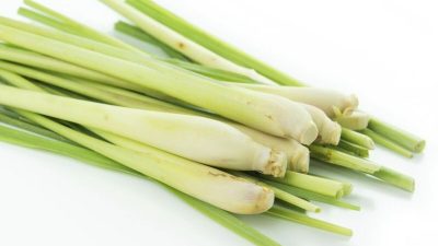 Artikel kali ini membahas mengenai 5 bahan masakan yang murah di Indonesia namun ternyata mahal di luar negeri.