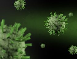 Ilustrasi Virus Influenza / pexels-daniel-dan
